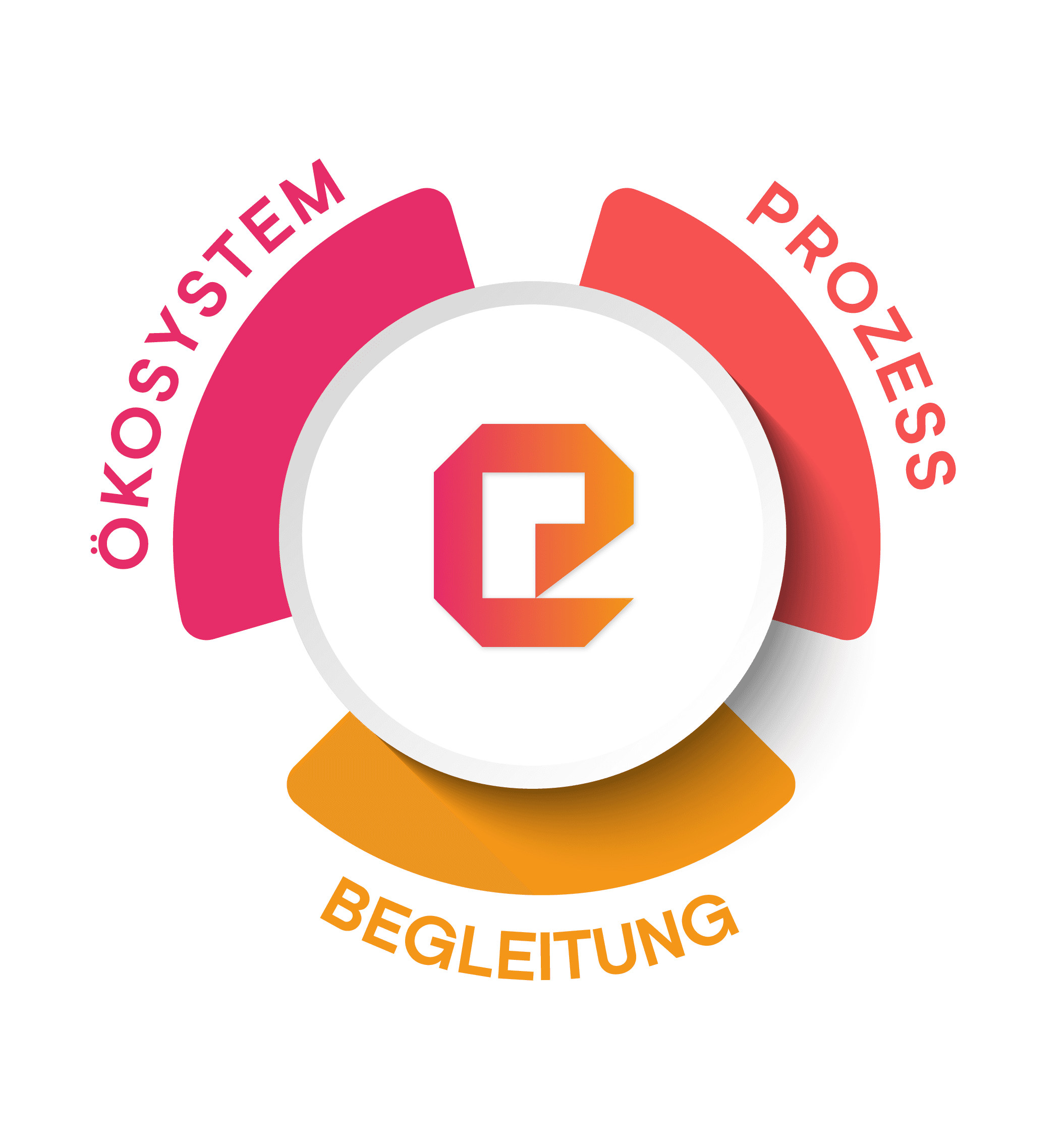 ekipa ecosystem process support visual
