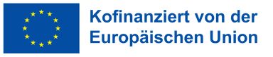 European Social Fund Plus