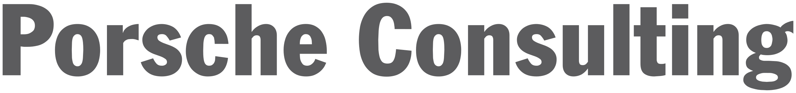 Porsche Consulting Porsche Consulting